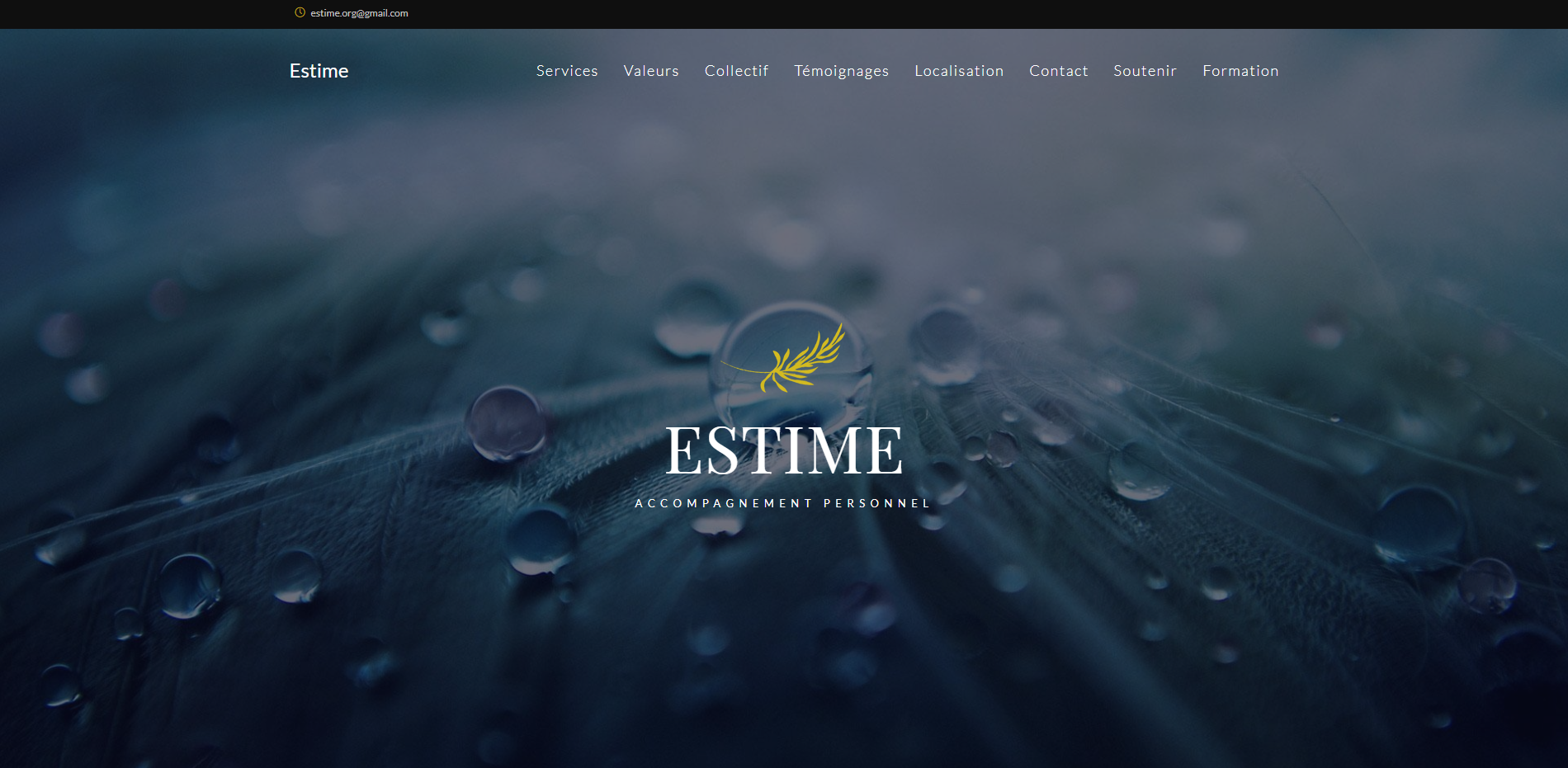 Site Le Café du FLE